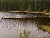 DSC06028.jpg